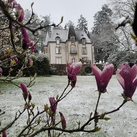 Chateau Maleplane Bed & Breakfast Saint-Leonard-de-Noblat Luaran gambar