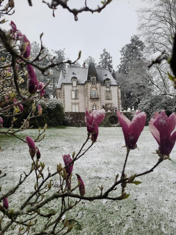 Chateau Maleplane Bed & Breakfast Saint-Leonard-de-Noblat Luaran gambar