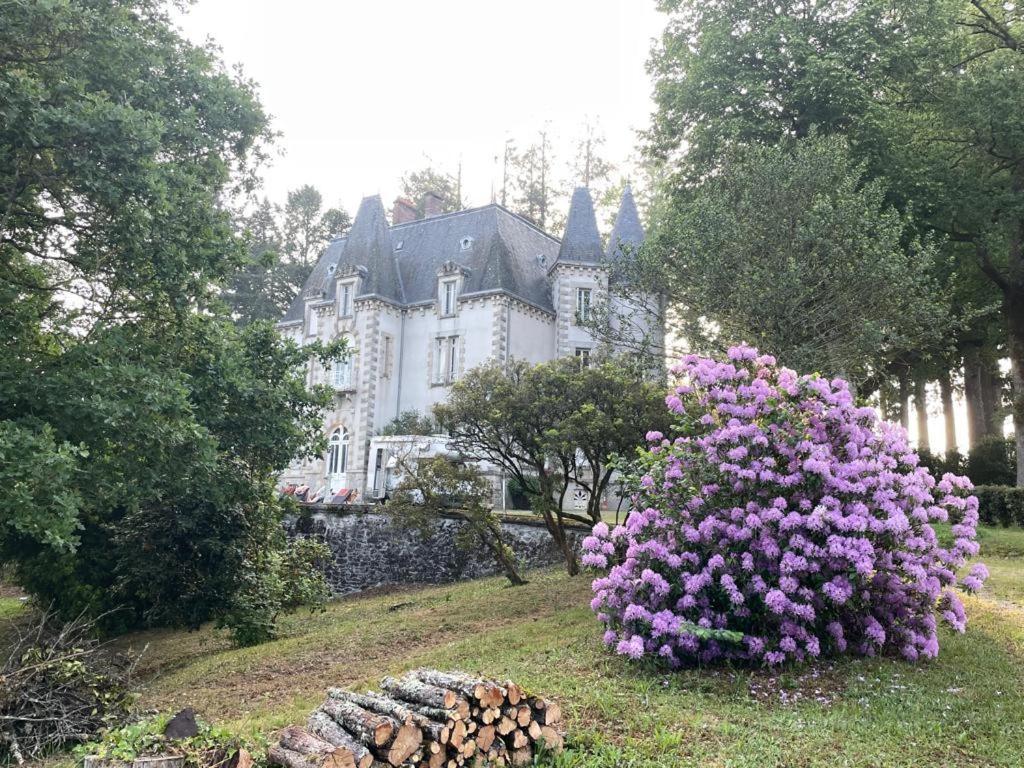 Chateau Maleplane Bed & Breakfast Saint-Leonard-de-Noblat Luaran gambar