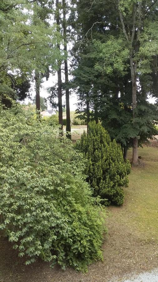 Chateau Maleplane Bed & Breakfast Saint-Leonard-de-Noblat Luaran gambar
