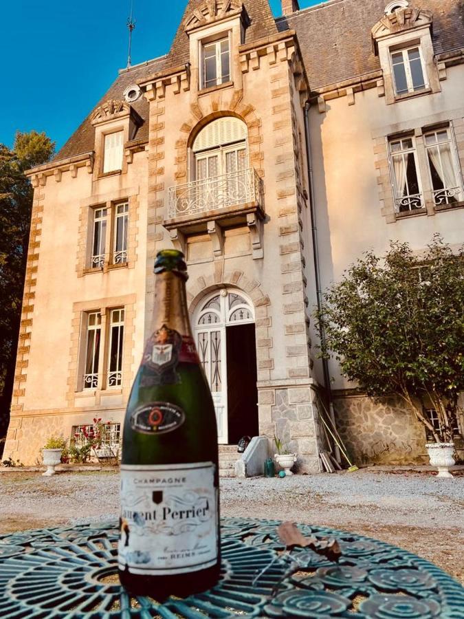 Chateau Maleplane Bed & Breakfast Saint-Leonard-de-Noblat Luaran gambar