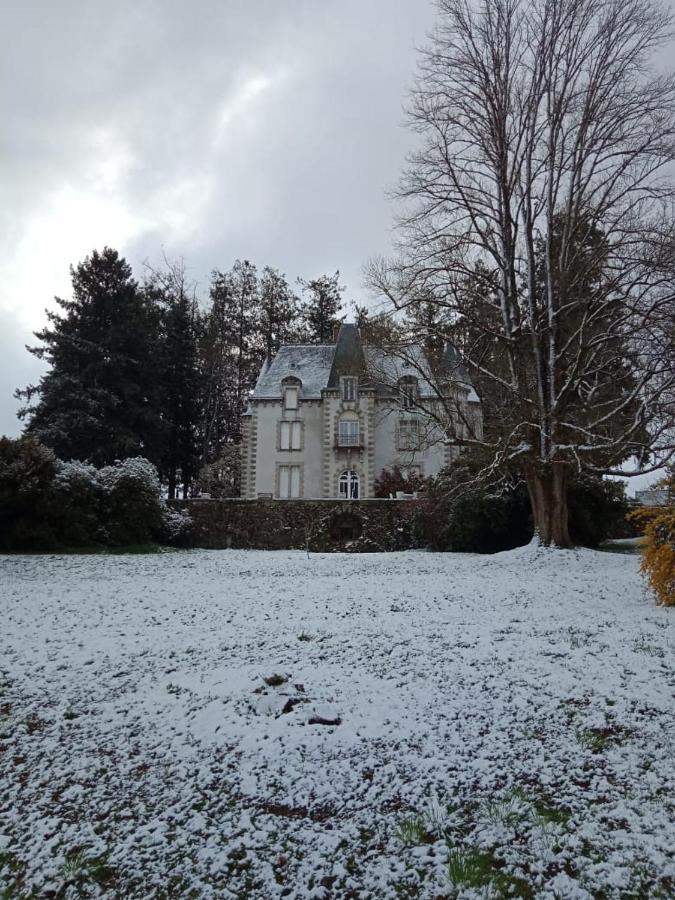 Chateau Maleplane Bed & Breakfast Saint-Leonard-de-Noblat Luaran gambar