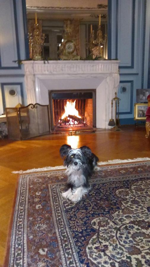 Chateau Maleplane Bed & Breakfast Saint-Leonard-de-Noblat Luaran gambar