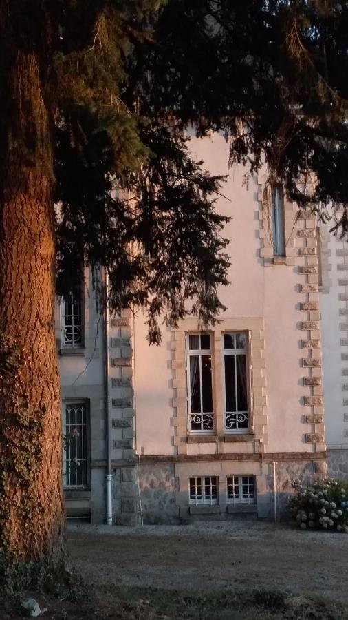 Chateau Maleplane Bed & Breakfast Saint-Leonard-de-Noblat Luaran gambar