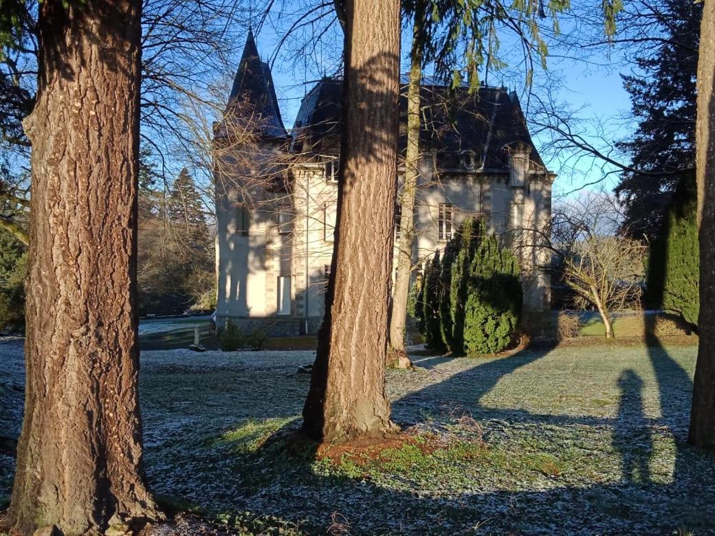Chateau Maleplane Bed & Breakfast Saint-Leonard-de-Noblat Luaran gambar